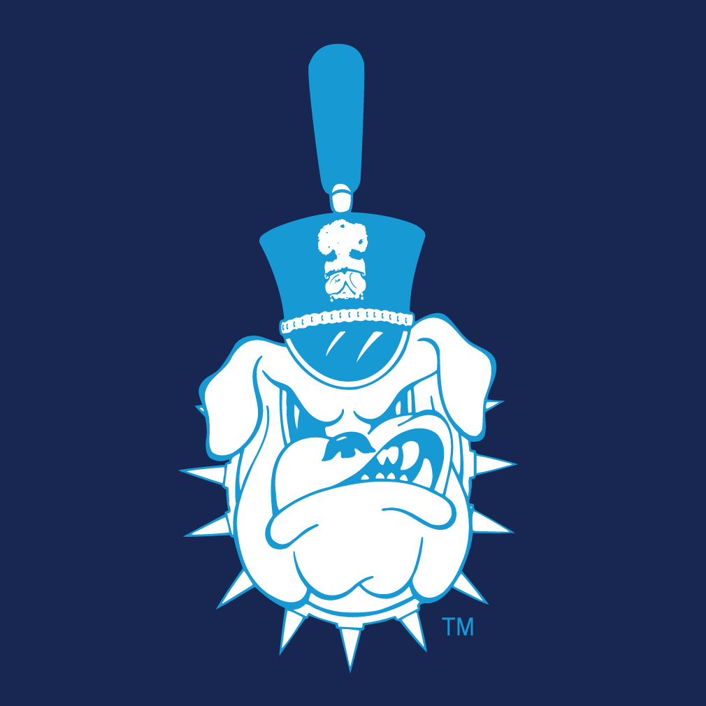 The Citadel Bulldogs 0-Pres Alternate Logo DIY iron on transfer (heat transfer)